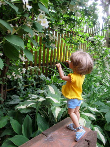 VFL.RU - ваш фотохостинг