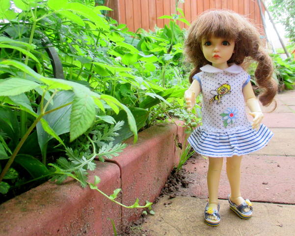 VFL.RU - ваш фотохостинг