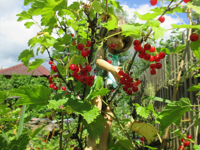 VFL.RU - ваш фотохостинг