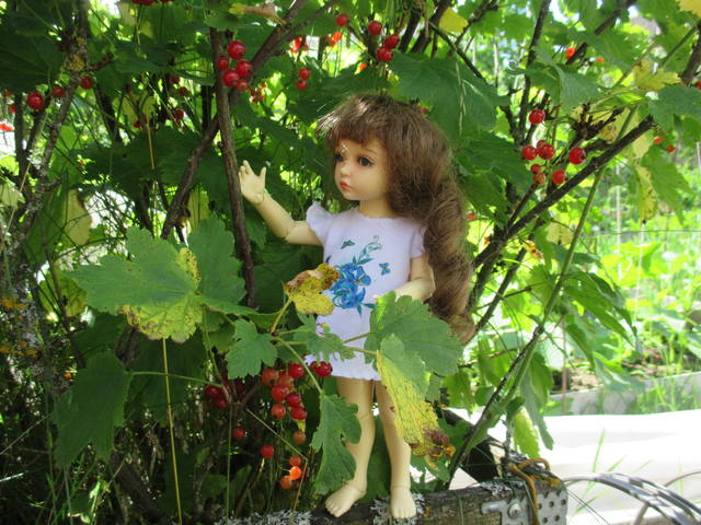 VFL.RU - ваш фотохостинг