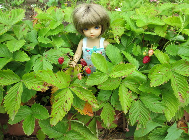 VFL.RU - ваш фотохостинг