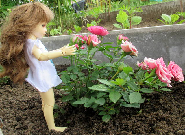 VFL.RU - ваш фотохостинг