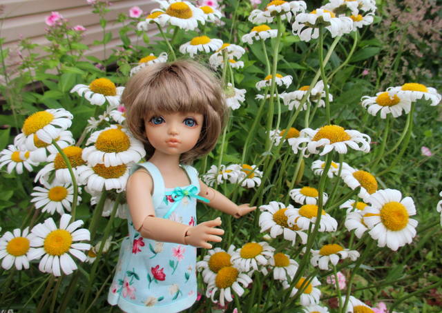 VFL.RU - ваш фотохостинг