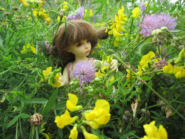 VFL.RU - ваш фотохостинг