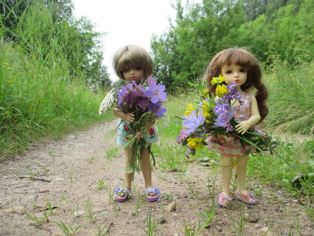 VFL.RU - ваш фотохостинг