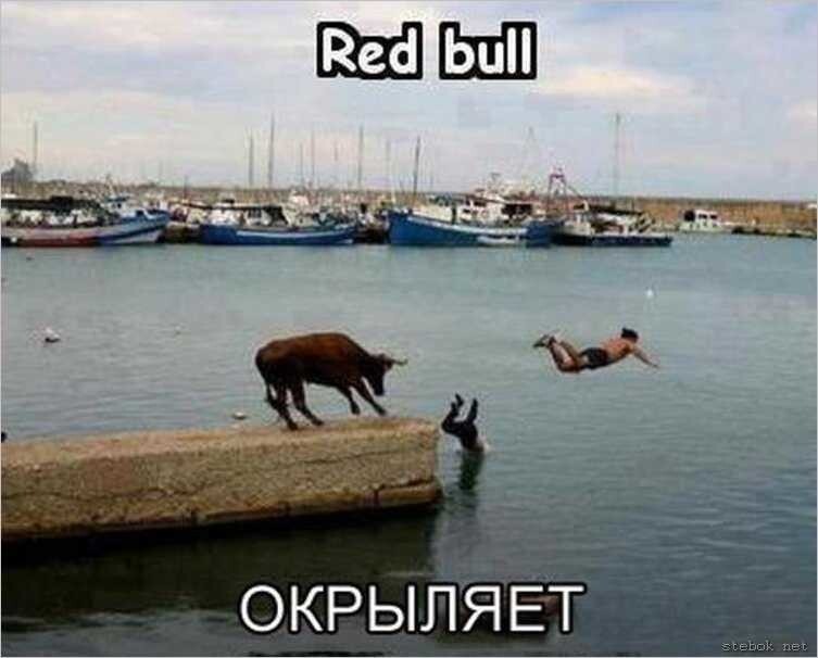 htl булл