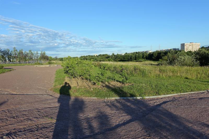Муринский парк Петербурга