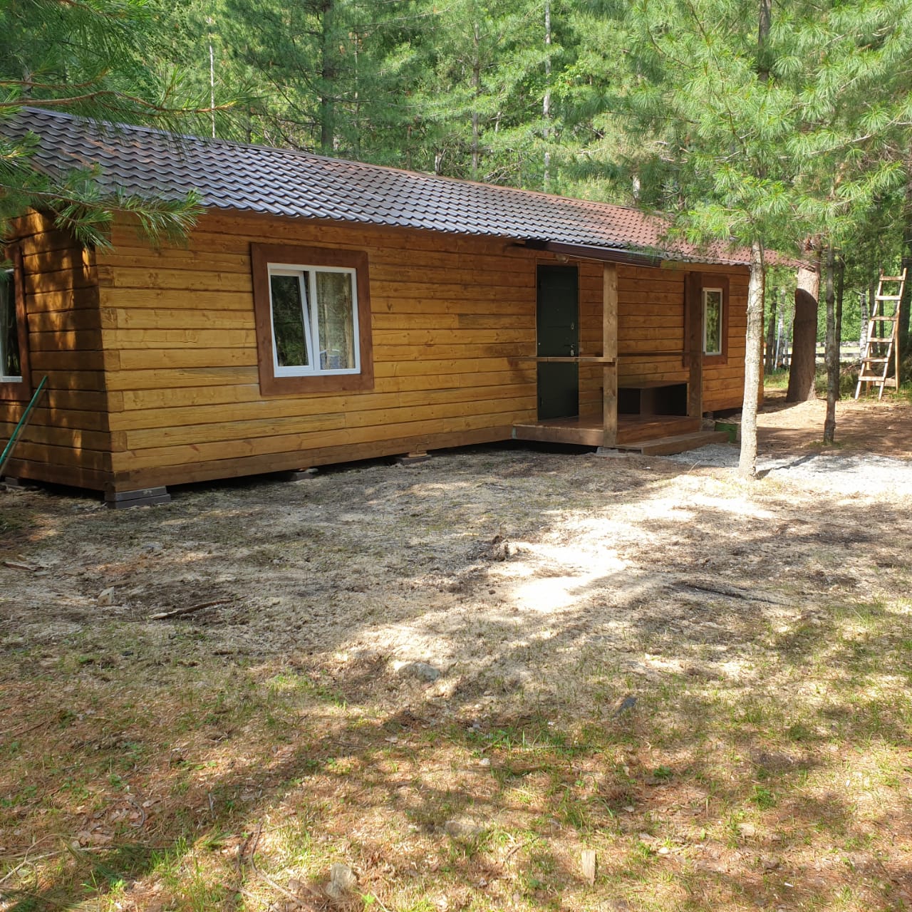 Турбаза Кедровая роща