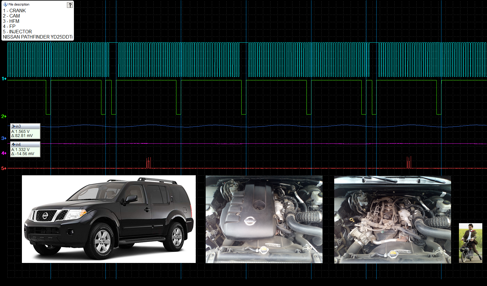 NISSAN PATHFINDER YD25DDTi sync 5ms