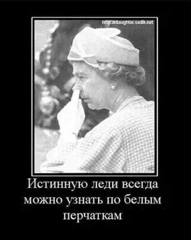 роС (1)
