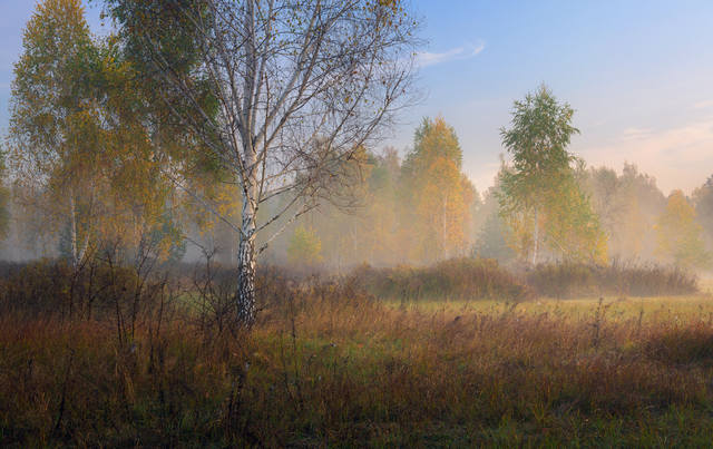 VFL.RU - ��� �����������