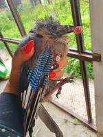 VFL.RU - ваш фотохостинг