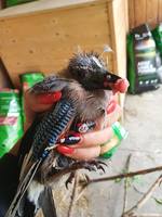 VFL.RU - ваш фотохостинг