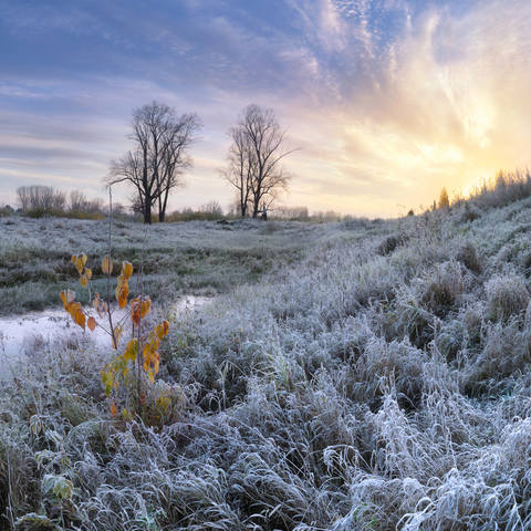 VFL.RU - ��� �����������