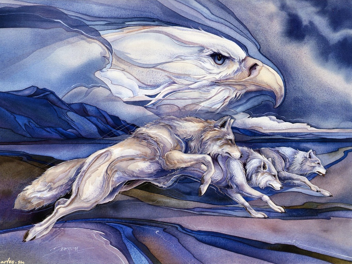 8117 4