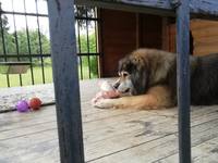 VFL.RU - ваш фотохостинг