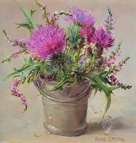 Anne-Cotterill-34