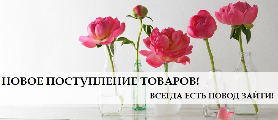 новое поступление