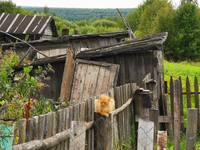 VFL.RU - ваш фотохостинг