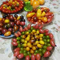 VFL.RU - ваш фотохостинг