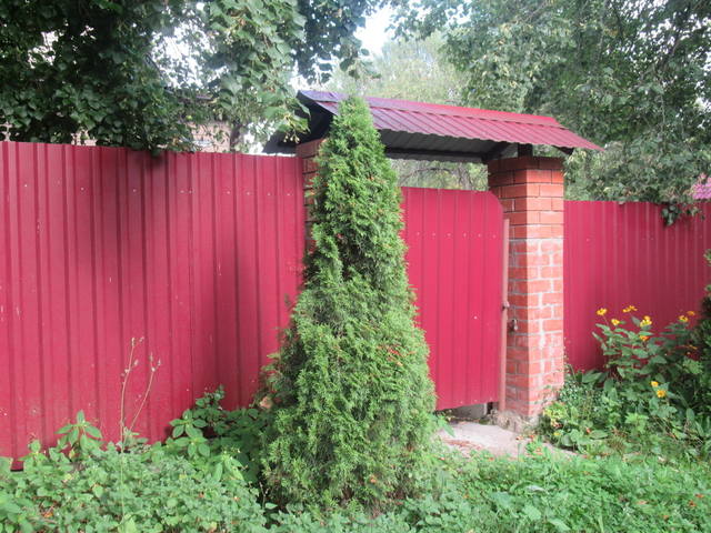 VFL.RU - ваш фотохостинг