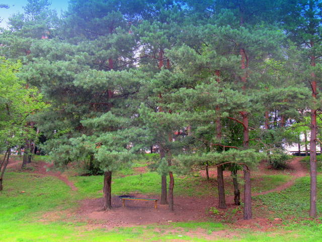 VFL.RU - ваш фотохостинг