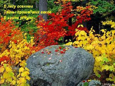 http://images.vfl.ru/ii/1597644662/f29dc1a6/31364487_m.jpg
