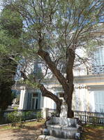 VFL.RU - ваш фотохостинг