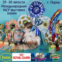 BEBehc12uqwI