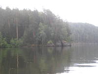 утро после дождей