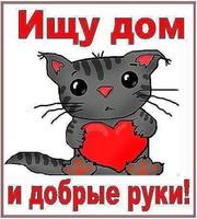 VFL.RU - ваш фотохостинг