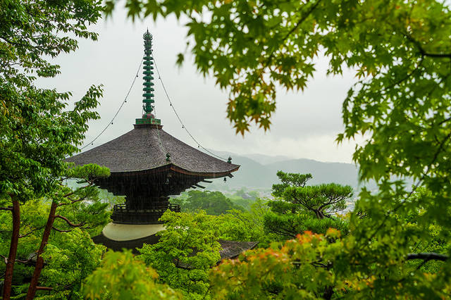 green-summer-foliage-jojakkoji-temple-arashiyama-kyoto-japan-378