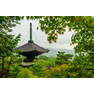 green-summer-foliage-jojakkoji-temple-arashiyama-kyoto-japan-378