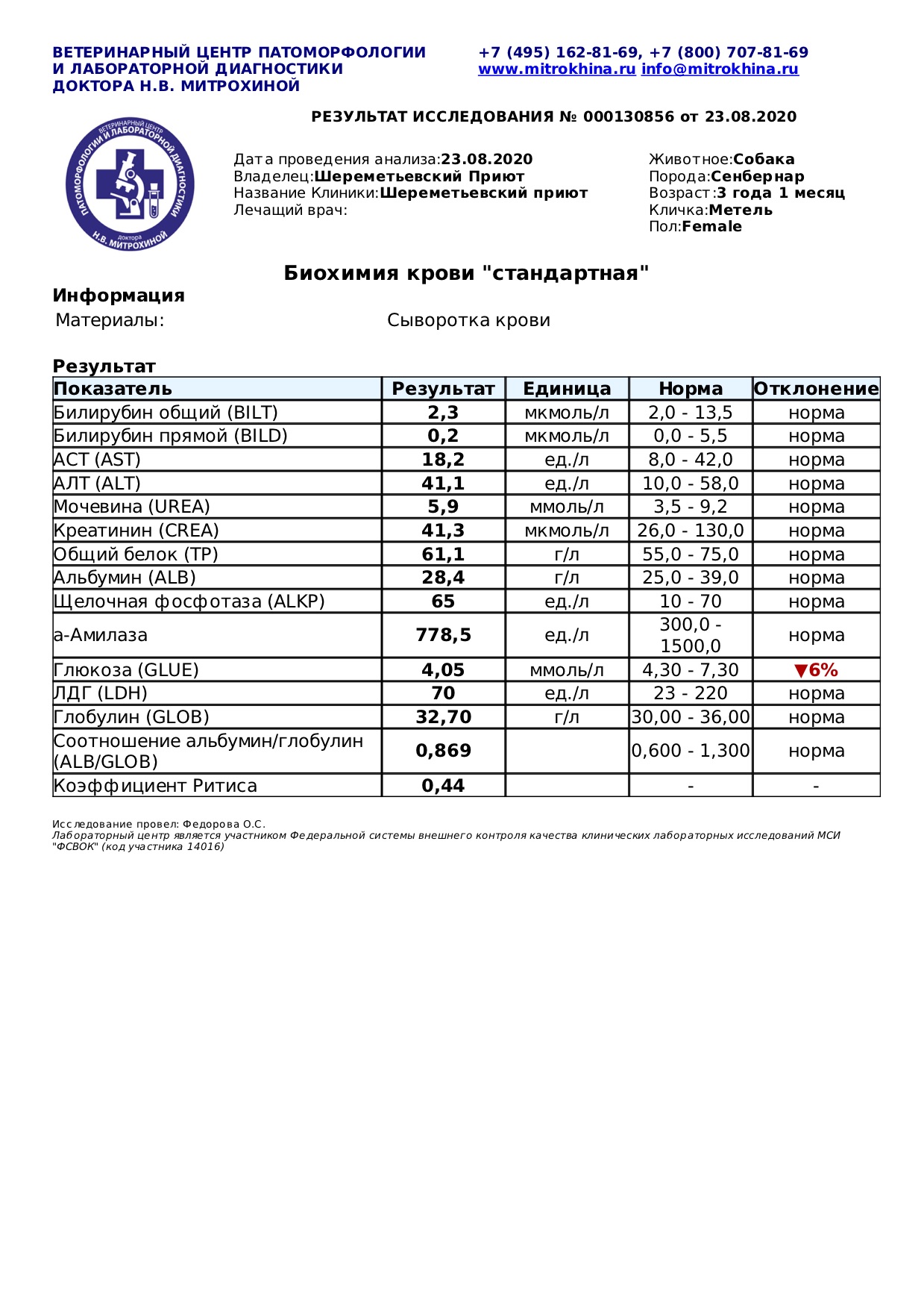 метель
