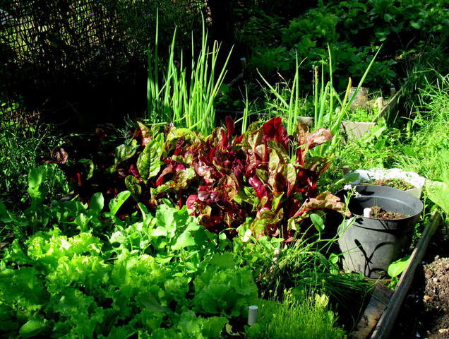 VFL.RU - ваш фотохостинг