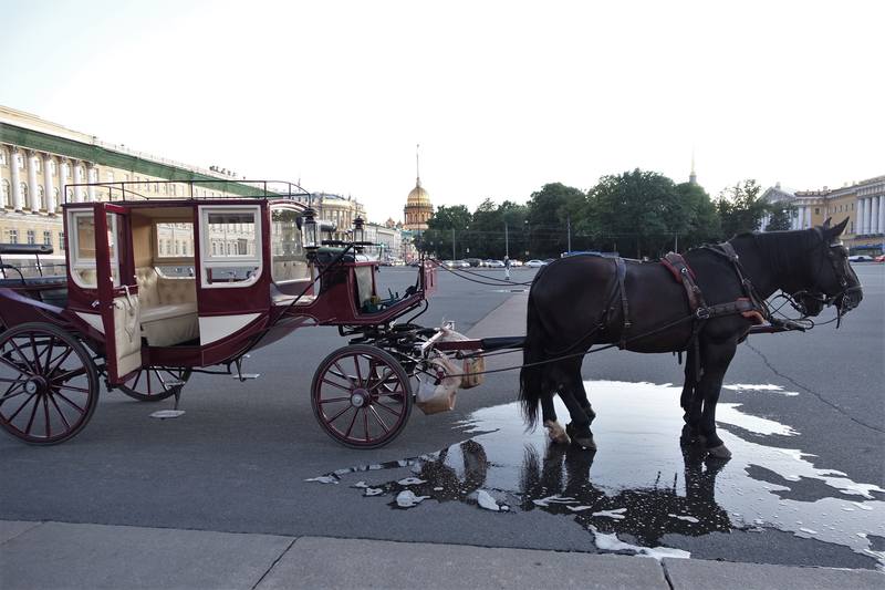 Летний Петербург