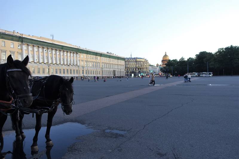 Летний Петербург