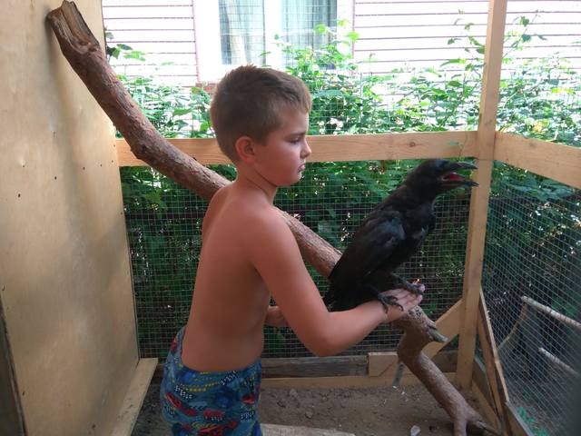 VFL.RU - ваш фотохостинг