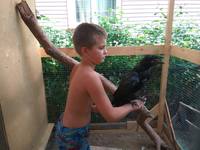 VFL.RU - ваш фотохостинг