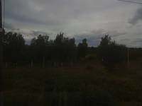 л10