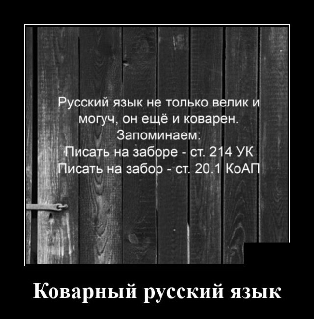 русский язык