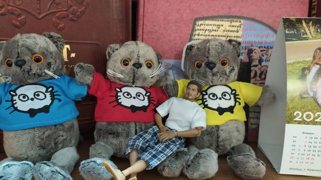 VFL.RU - ваш фотохостинг