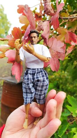 VFL.RU - ваш фотохостинг