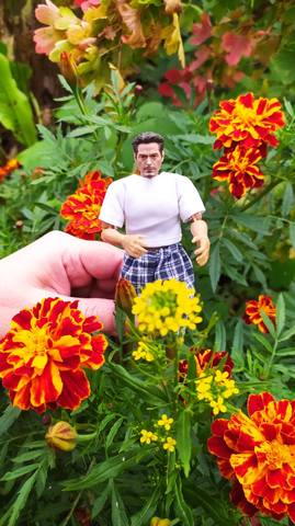 VFL.RU - ваш фотохостинг