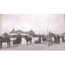 Виды зимних выездов. Ново-Николаевск. 1919