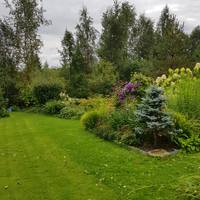 VFL.RU - ваш фотохостинг