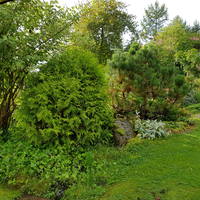 VFL.RU - ваш фотохостинг