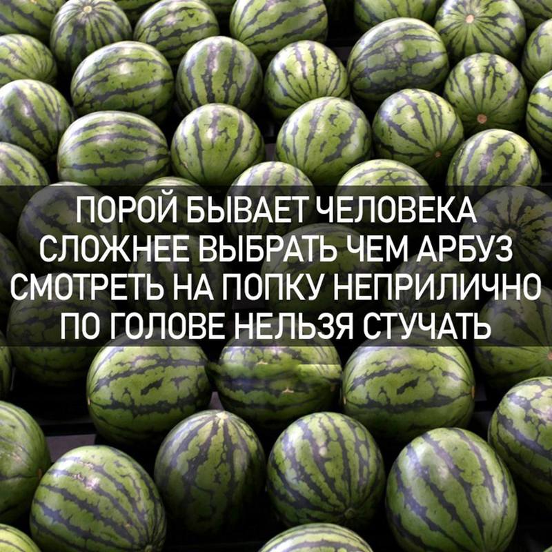 Юмор Юмор