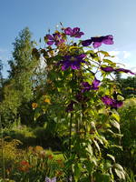 VFL.RU - ваш фотохостинг