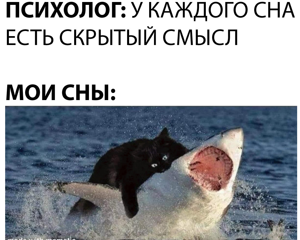 изображение viber 2020-09-20 19-36-07